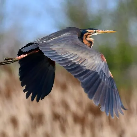 I Trepponti 3* Comacchio