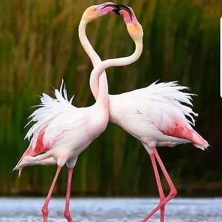 I Trepponti Nocleg ze śniadaniem