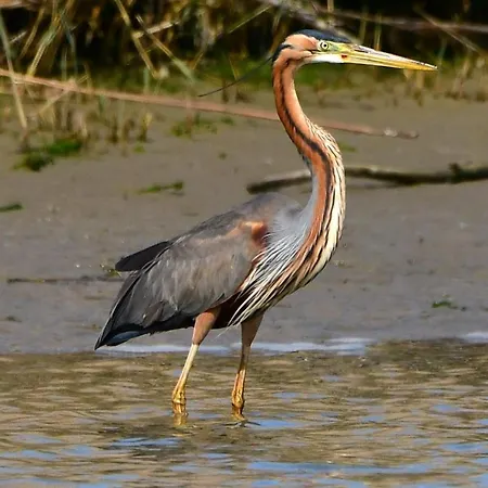 I Trepponti Oda ve Kahvaltı 3*