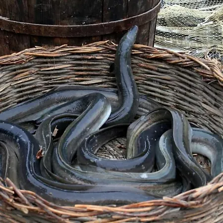 I Trepponti Oda ve Kahvaltı 3*