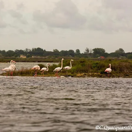 Nocleg ze śniadaniem I Trepponti 3*