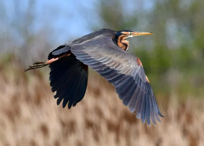 I Trepponti 3* Comacchio