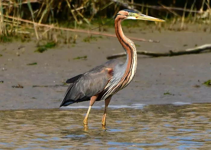 I Trepponti Alojamento de Acomodação e Pequeno-almoço 3*