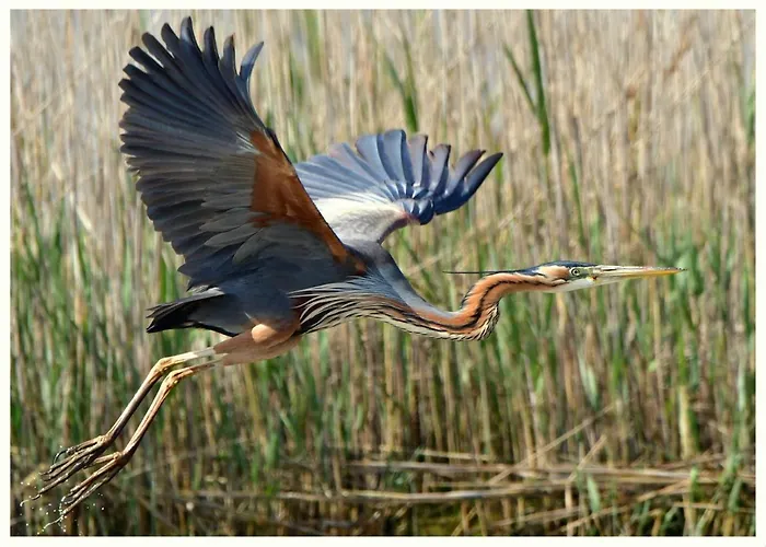 I Trepponti Alojamento de Acomodação e Pequeno-almoço