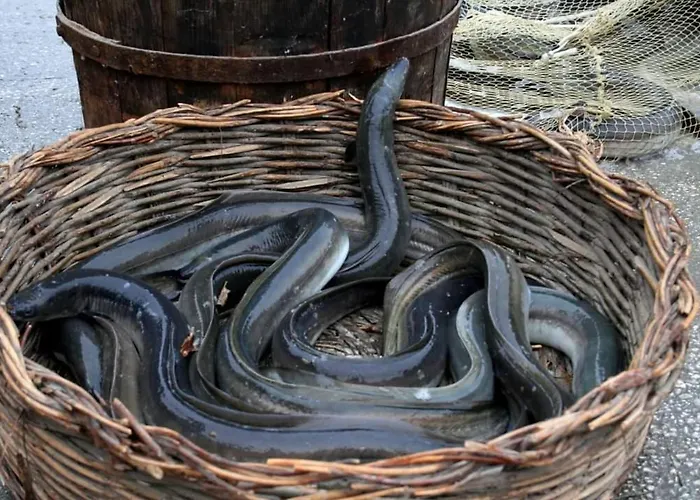 I Trepponti Bed & Breakfast 3*