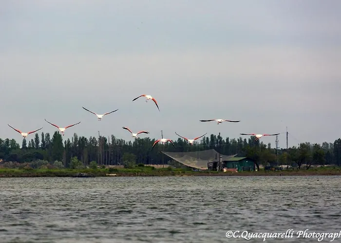 Bed & Breakfast I Trepponti