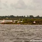 Отель типа 