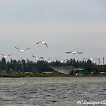 Отель типа 