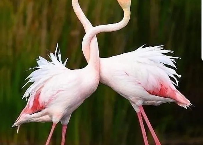 I Trepponti ベッド・アンド・ブレックファスト