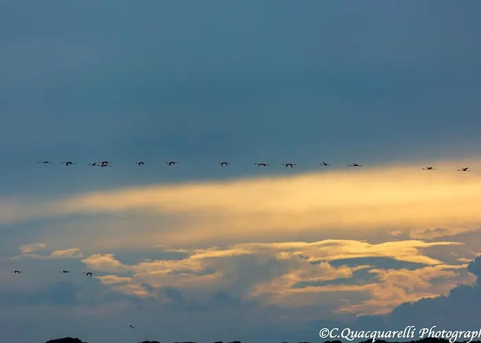 I Trepponti ベッド・アンド・ブレックファスト