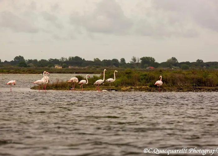 ベッド・アンド・ブレックファスト I Trepponti 3*